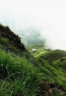Puzhayoram home stay, Palakkuli, Mananthavadi wayanad kerala - Mananthavady - 6