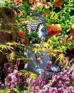 À La Perrière Location de Chambre d'Hôte - Double Perspective - 2