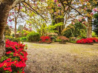 Birdwood Guesthouse - 8