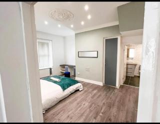 Lovely 1-bedroom apartment, free street parking - Elswick - 7