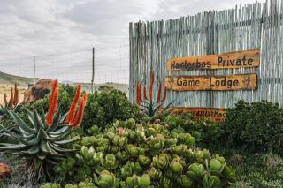 Hartenbos Private Game Lodge - Hartenbos - 4
