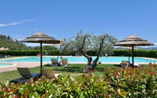 Apartments 5 beds, first floor with private outdoor area, in Residence with swimming-pool - Campiglia Marittima - 7