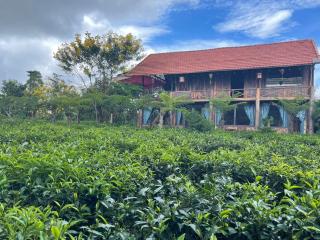 Tea Garden House - Xã Tân Phát - 9