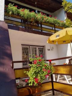 Holiday home in Siofok - Balaton 19924 - 4