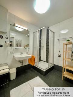 Penthouse TAMINO TOP 10 - Schladming - 4
