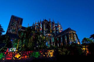 La chambre du bosquet - 4