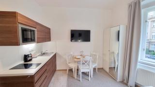 Finnem Rentals Zíkova - Prague - 8