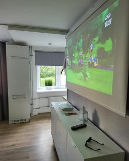 The entire comfortable apartment - 1