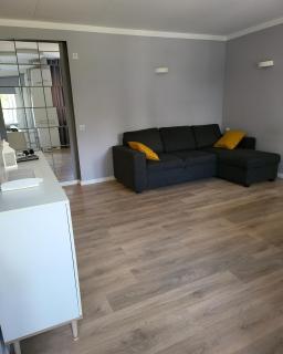 The entire comfortable apartment - 9