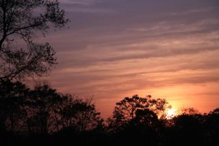 Siddhartha Wildlife Retreat - 1