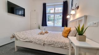 Finnem Rentals Pod Znonařkou - 7