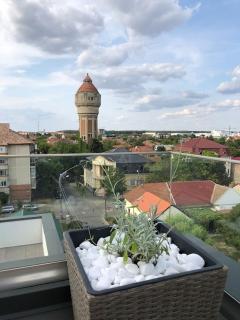 Luxury Lavender Gorgeous Terrace Free UNDG Parking - Timişoara - 6