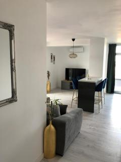 Luxury Lavender Gorgeous Terrace Free UNDG Parking - Timişoara - 5