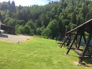 ASY Mountain Residence - Brasov - 3