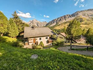 Chalet Steinbock by Arosa Holiday - Arosa - 9