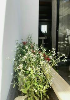 Charmant duplex avec jacuzzi - 6