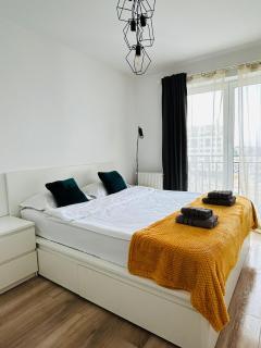 Bright&Cozy C1 - Brasov - 1