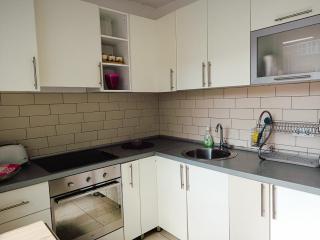 Cozy Apartment in Sarajevo - Sarajevo - 3