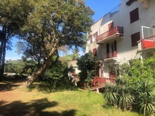 LAC HOSSEGOR JARDIN T3 - Soorts-Hossegor - 2