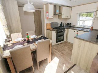 116 Woodpecker Lodge - New Quay - 3