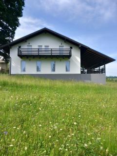 Casa Stejarului - Vatra Dornei - 1