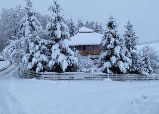 Vila GUŠT - Zlatibor - 7