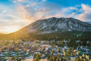 Tiny Tree House AC - Flagstaff - 5