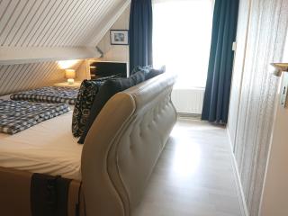 huisje Zeezwaluw (directe entree naar de Zeepeduinen en het bos) - 1