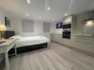 Riverside Studio Apartment Docklands E14 - Londra - 8
