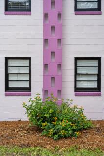 Folly Vacation Great Location, Vintage and Fun 120 Unit B - Folly Beach - 9