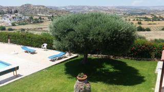 Pelekanos Apartments - Pissouri - 5