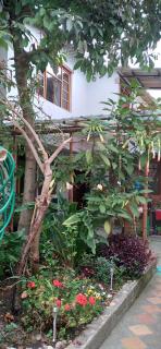 Aylluwasi Guesthouse - Otavalo - 3