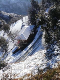 hotel chakrata green and camping - Chakrāta - 3