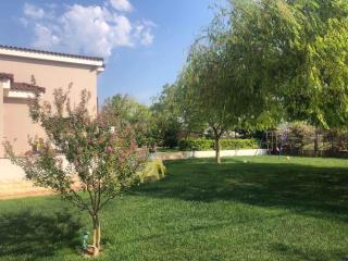 Villa Μυρσιφαίη - Koropi - 8