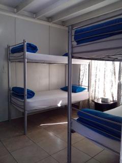 Rosebank Lodge & Backpacker - Johannesburgo - 1
