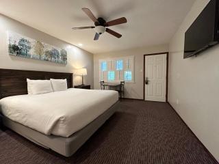 Bluebird Inn - Cambria - 1