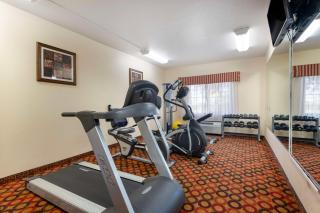 Best Western Laramie Inn & Suites - Laramie - 3
