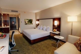 Hilton Garden Inn Puebla Angelopolis - 4