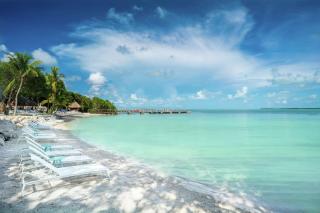 Baker's Cay Resort Key Largo, Curio Collection By Hilton - Key Largo - 4