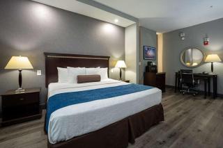 Comfort Suites Seabrook - Kemah - Seabrook - 4