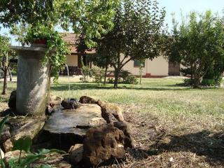 La tenuta Jucci - Sezze - 7