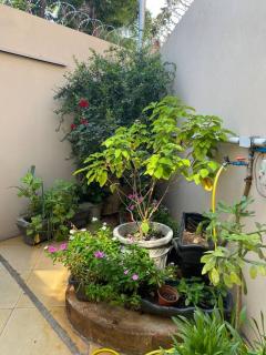 Apartamento Encantador B - Montes Claros - 7