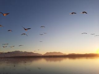 Ferienwohnung Bergliebe - 1