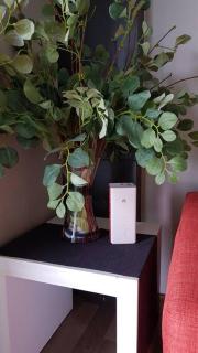 Cameron Square, Nova Highlands - 1BR Studio Suite - Brinchang - 1