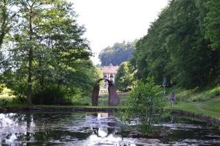 Natur & Wander Hotel Gassbachtal - Grasellenbach - 5