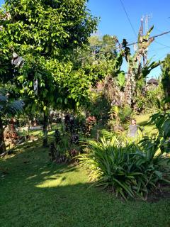 Dina Home Stay at Desa Wisata Wongayagede - Jatiluwih - 8