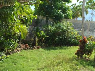 NEW MORINGA - Las Terrenas - 7
