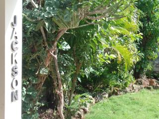 NEW MORINGA - Las Terrenas - 6