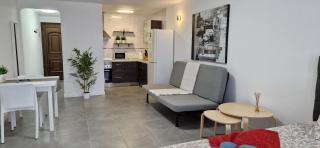 Sunny Large Terrace Apartment in Center of Las Americas - Playa de las Americas - 9