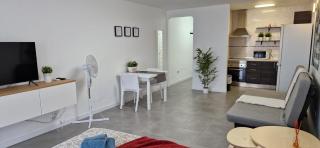 Sunny Large Terrace Apartment in Center of Las Americas - Playa de las Americas - 1